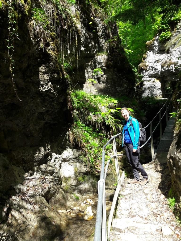 Grüne Hügellandschaft am Genfersee
